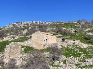 Day 11- Overlooking Orthodox Church